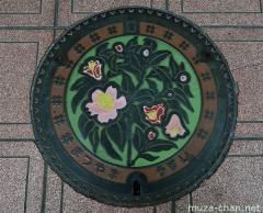 Matsuyama camellia manhole cover