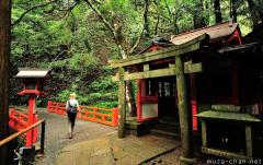 Temple in the Kurama mountain forest