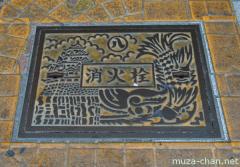 Nagoya artistic manhole cover, the Castle and the Kinshachi