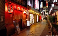 Simply beautiful Japanese scenes, Namba streets by night