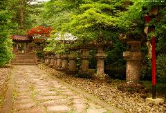 Stone Lanterns at Rinno-ji Taiyuin