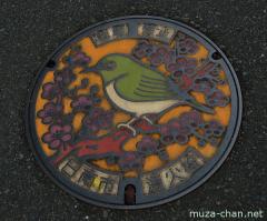 About Japan from... manhole covers, Miyazaki Mejiro