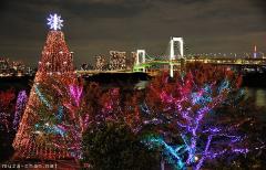 Tokyo Winter Illuminations, the Daiba Memorial Tree