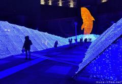 Osaka Aquarium Kaiyukan Christmas Lights