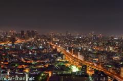 Night view from Osaka Bay Tower