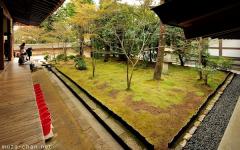Japanese gardens, Moss