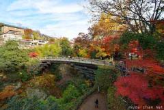 Simply beautiful Japanese scenes, Saruhashi in autumn