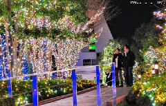 Tokyo Christmas Illuminations, winter walk in Shinjuku Southern Terrace and a travel tip