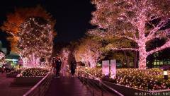 Shinjuku Southern Terrace delicate pink lights