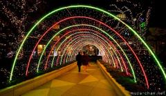 Winter illumination in Japan, Shiodome tunnel of lights