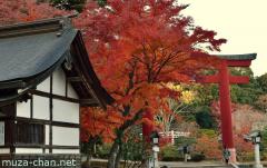 Simply beautiful Japanese scenes, late autumn at Shiogama Jinja