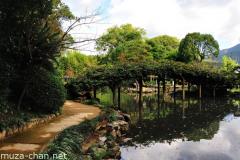 Tensha-en garden Wisteria bridge