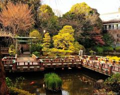 Harajuku Togo Shrine, a hidden Japanese garden masterpiece