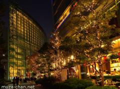 Start of winter illuminations in Japan