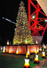 Tokyo Tower Christmas Tree, for a romantic Christmas night