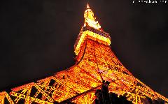A Night View for Tokyo Tower's Anniversary