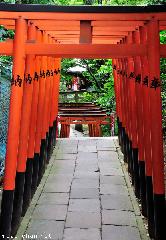 Red Torii at Gojo-Tenjin Shrine