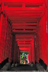 Sightseeing Tokyo, the most beautiful Torii path