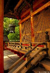 On the Stairs of Toshougu Shrine