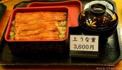 Popular Japanese food, Eel kabayaki