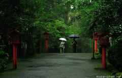 Simply beautiful Japanese scenes, Walking in the rain at Hakone Shrine
