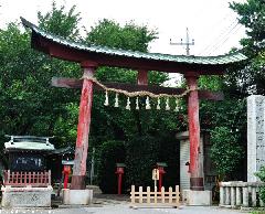 Washinomiya Shrine Torii