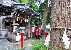 Yakumo Shrine, the Shrine  to Prevent Sickness