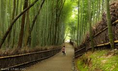 Bamboo and Three Friends of Winter