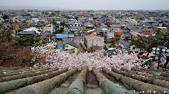 Maruoka Castle's unique stone roof tiles