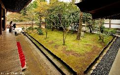 Japanese gardens, Moss