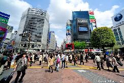 Shibuya street scene, crowds and billboards