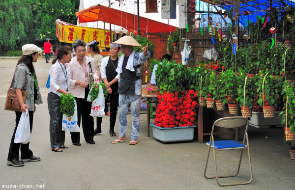 Hozuki Ichi (Chinese lantern plant fair)