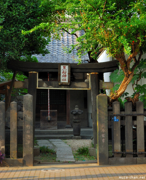 Shinto Shrine Asakusa