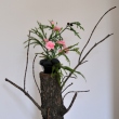 bucharest-botanical-garden-ikebana-04.jpg