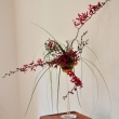 bucharest-botanical-garden-ikebana-08.jpg