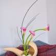 bucharest-botanical-garden-ikebana-10.jpg