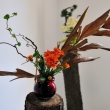 bucharest-botanical-garden-ikebana-11.jpg