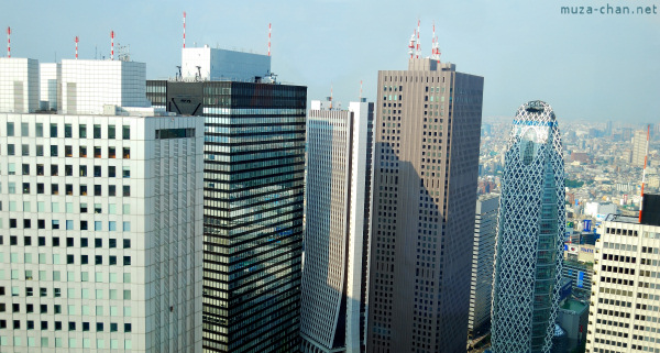 View from Tokyo Metropolitan Building