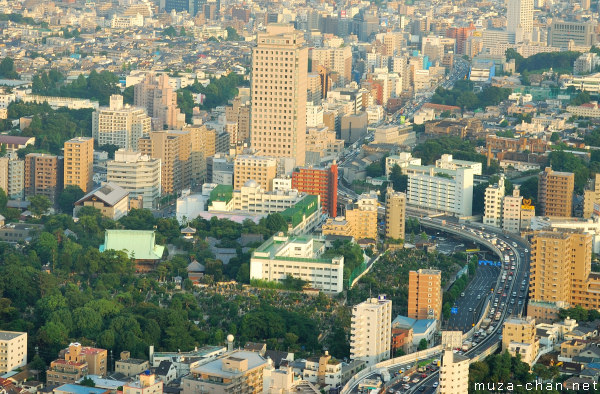 Gokoku-ji Temple, Kodansha Head Office, Tokyo