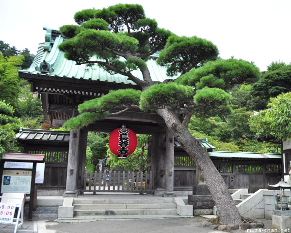 Kamakura Hasedera Temple