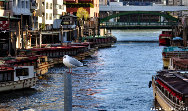 Yanagibashi, Asakusa, Tokyo