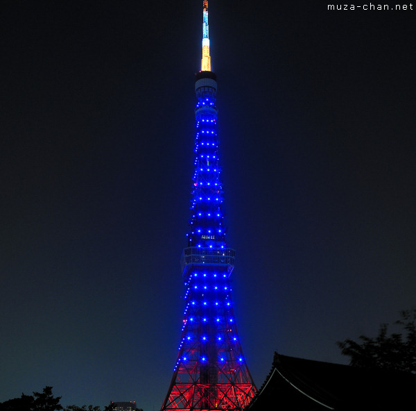 Tokyo Tower special lights: Blue Diamond Veil, Tokyo