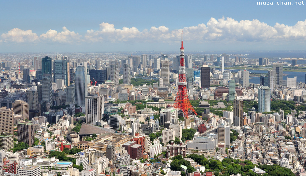 Самая большая в мире г. Токио самый большой город в мире. Самый большой Мегаполис в мире по площади. Самий Балшой горд мире. Самый большой город вмере.