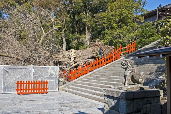 Tsurugaoka Hachimangu Shrine Kamakura