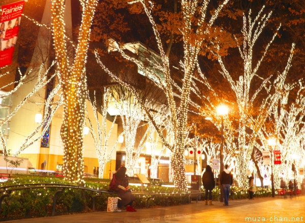 Omotesando Winter Illumination, Tokyo