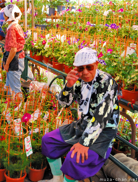 Asagao Ichi (Morning Glory Fair) Iriya Kishimojin Temple, Taito-ku, Tokyo