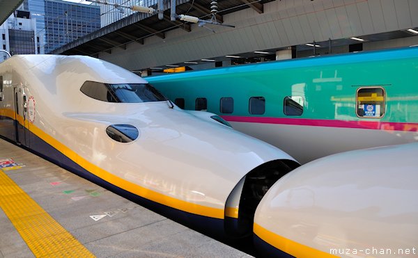 Shinkansen E4-series, Tokyo Station