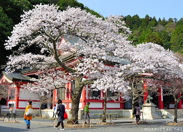 Kurama-dera, Kyoto