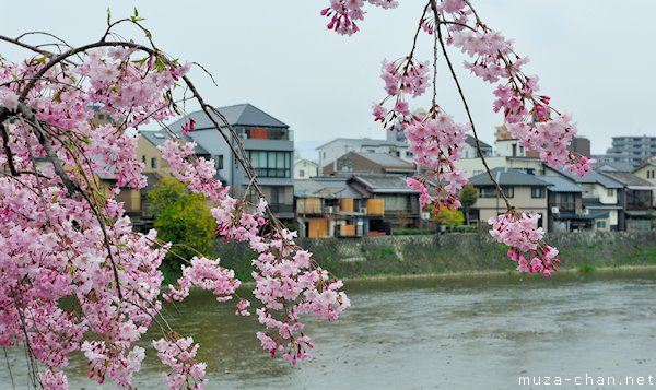 Kamo River, Kyoto