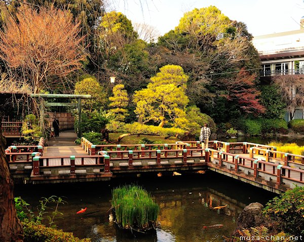 Togo Shrine Garden, Harajuku, Tokyo